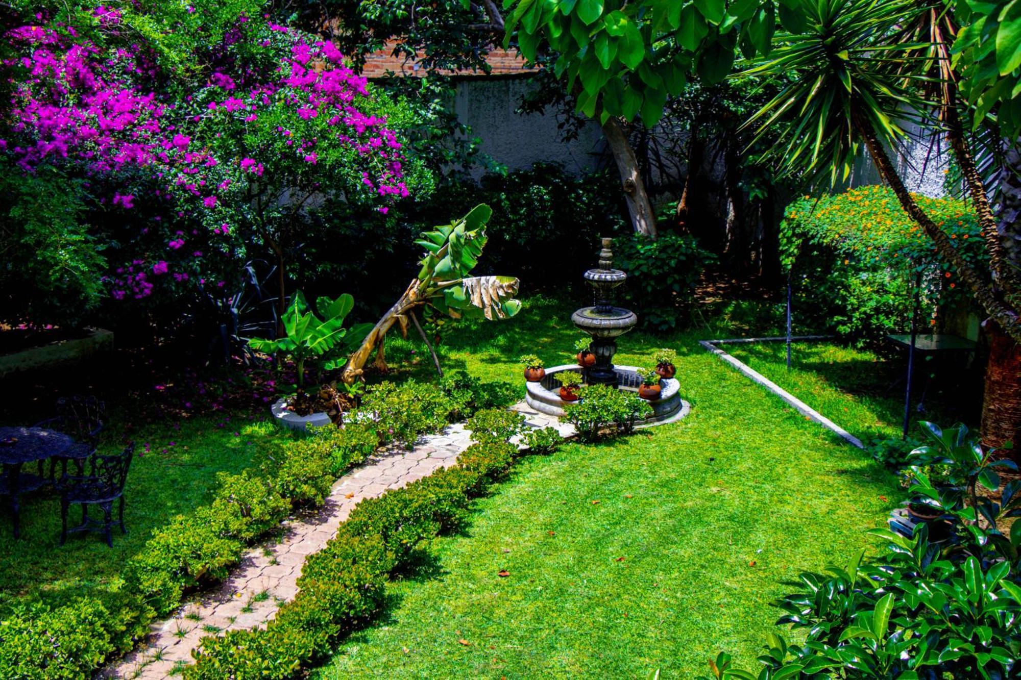 Posada Las Margaritas Tlaquepaque المظهر الخارجي الصورة
