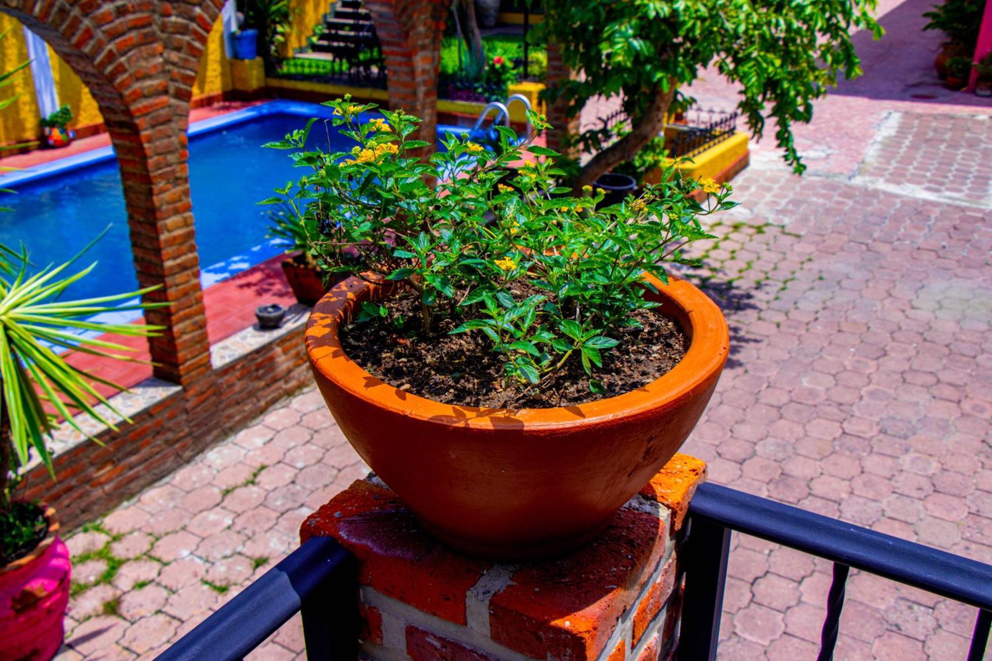 Posada Las Margaritas Tlaquepaque المظهر الخارجي الصورة